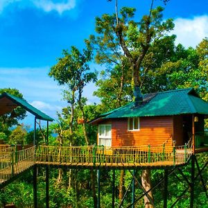 Ayurveda Healing full board min at Forest Bathing Studio Cottage